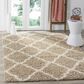 Safavieh Dallas Shag SGD257D-3 3" x 5" Beige/Ivory Area Rug, , large