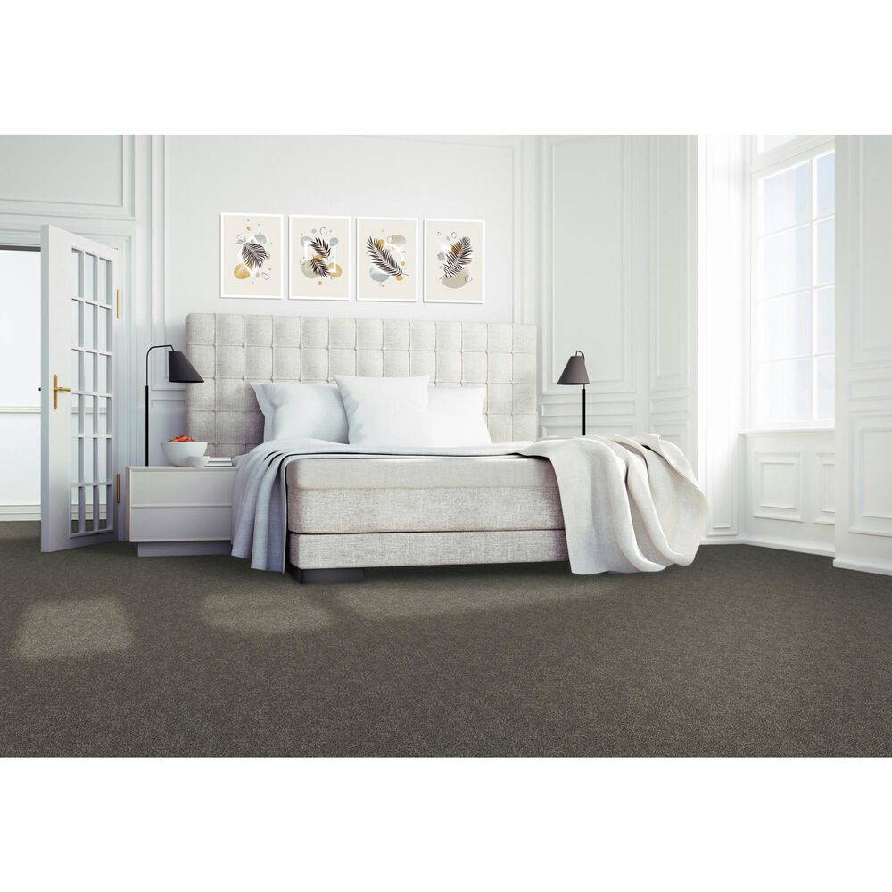 Mohawk Luxuriant Feel Carpet in Inverness, , large