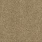 Shaw Barracan Classic II Carpet in Navajo, , large