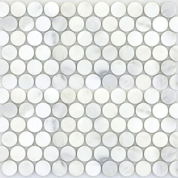 Emser Winter Frost 12" x 12" Penny Round Marble Mosaic Sheet, , large