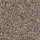 Mohawk Exquisite Flair Carpet in Cedar, , large