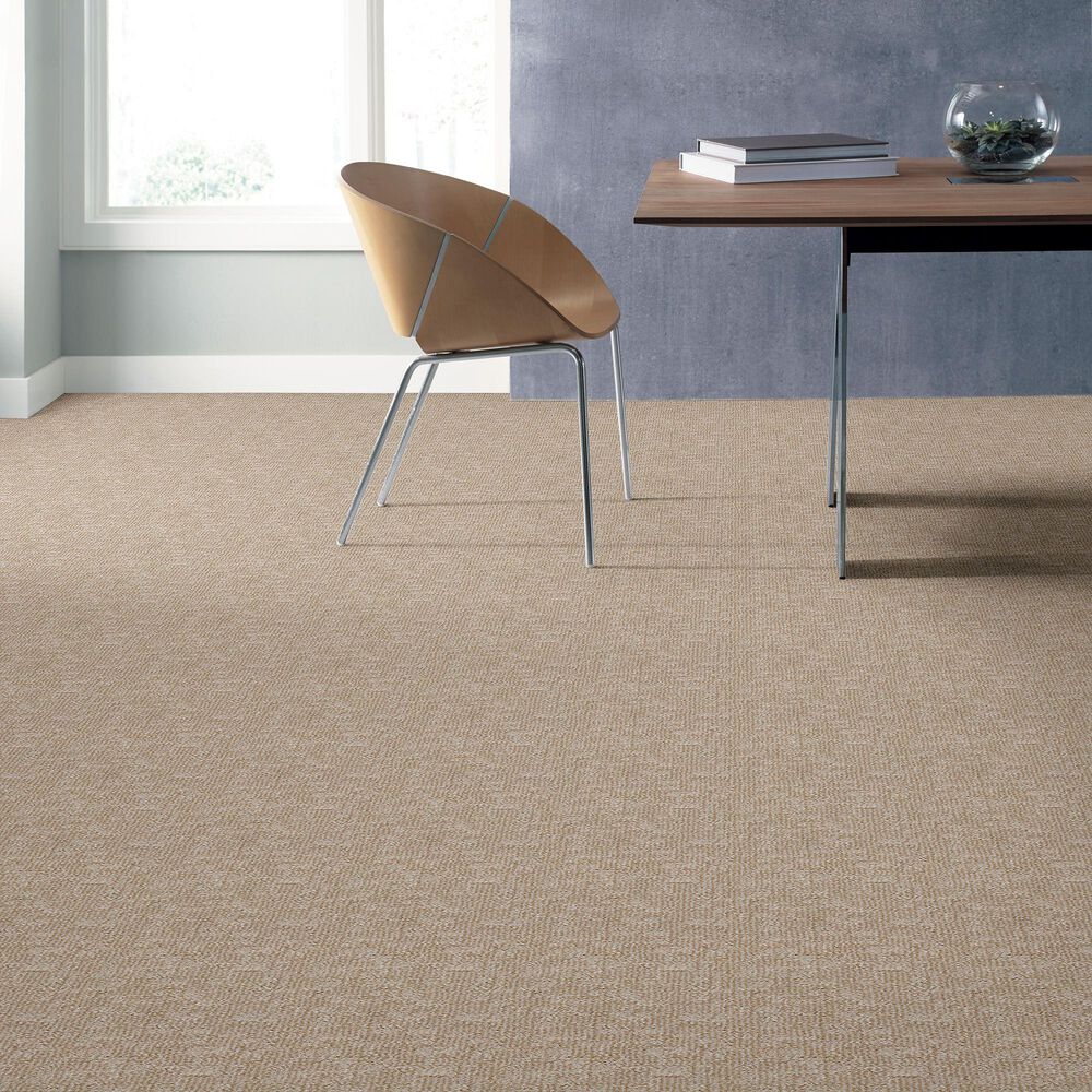 Anderson Tuftex Paw-Tay Carpet in Old Country, , large