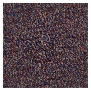 Shaw Sound Advice 24" x 24" Carpet Tile in Exercise, , large