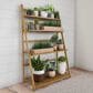 Timberlake Pure Garden 4-Tier Plant Stand in Natural Wood, , large