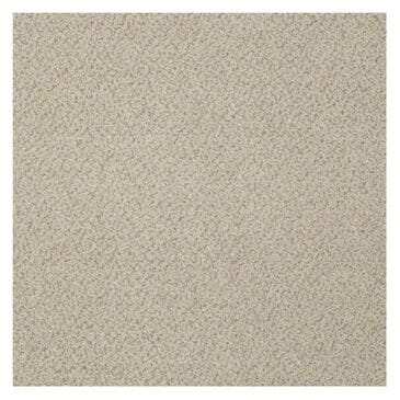 Shaw Primus Carpet in Favored, , large