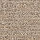 Anderson Tuftex Sneak Peek Carpet in Canyon Dust, , large