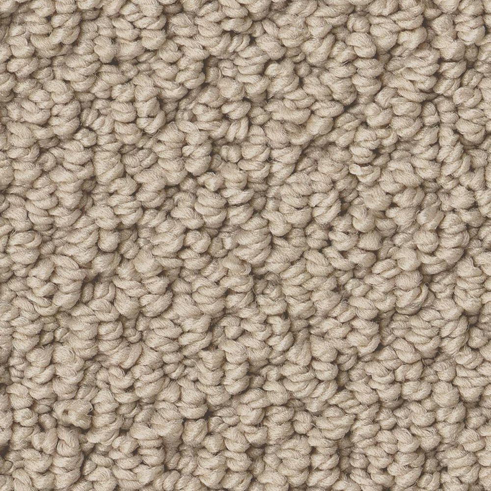 Anderson Tuftex Gracious Carpet in Barista, , large