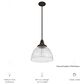 Hunter Cypress Grove 13" 1-Light Pendant in Onyx Bengal, , large