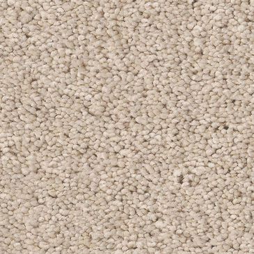 Anderson Tuftex Enchanting Carpet in Tapioca, , large