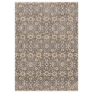 Oriental Weavers Maharaja Ames 532D 9"10" x 12"10" Grey Area Rug, , large