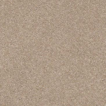 Philadelphia Basic Rules Carpet in Toast, , large