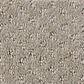 Anderson Tuftex West Fork Carpet in Koala, , large