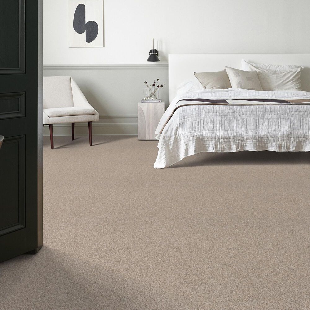 Anderson Tuftex Park Hill Carpet in Happy Valley, , large