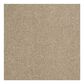 Shaw Phenomenal Carpet in Dunes, , large