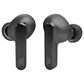 JBL True Wireless Noise Cancelling Earbuds in Black, , large