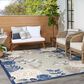 Nourison Aloha ALH32 5"3" x 7"5" Blue and Grey Indoor/Outdoor Area Rug, , large