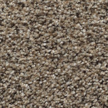 Anderson Tuftex Park Hill Carpet in Timber, , large