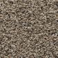 Anderson Tuftex Park Hill Carpet in Timber, , large