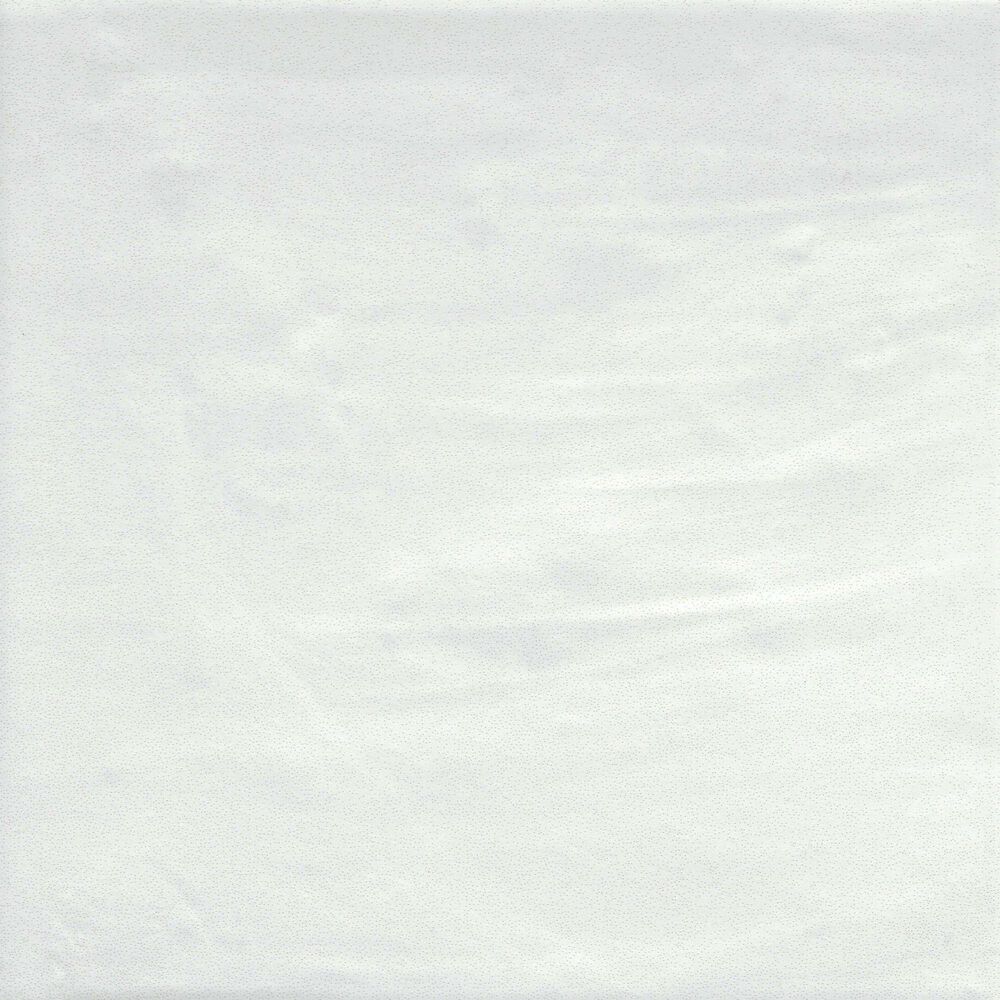 Emser Passion Blanco 9" x 9" Matte Porcelain Tile, , large