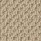 Anderson Tuftex Gracious Carpet in Shoreline, , large