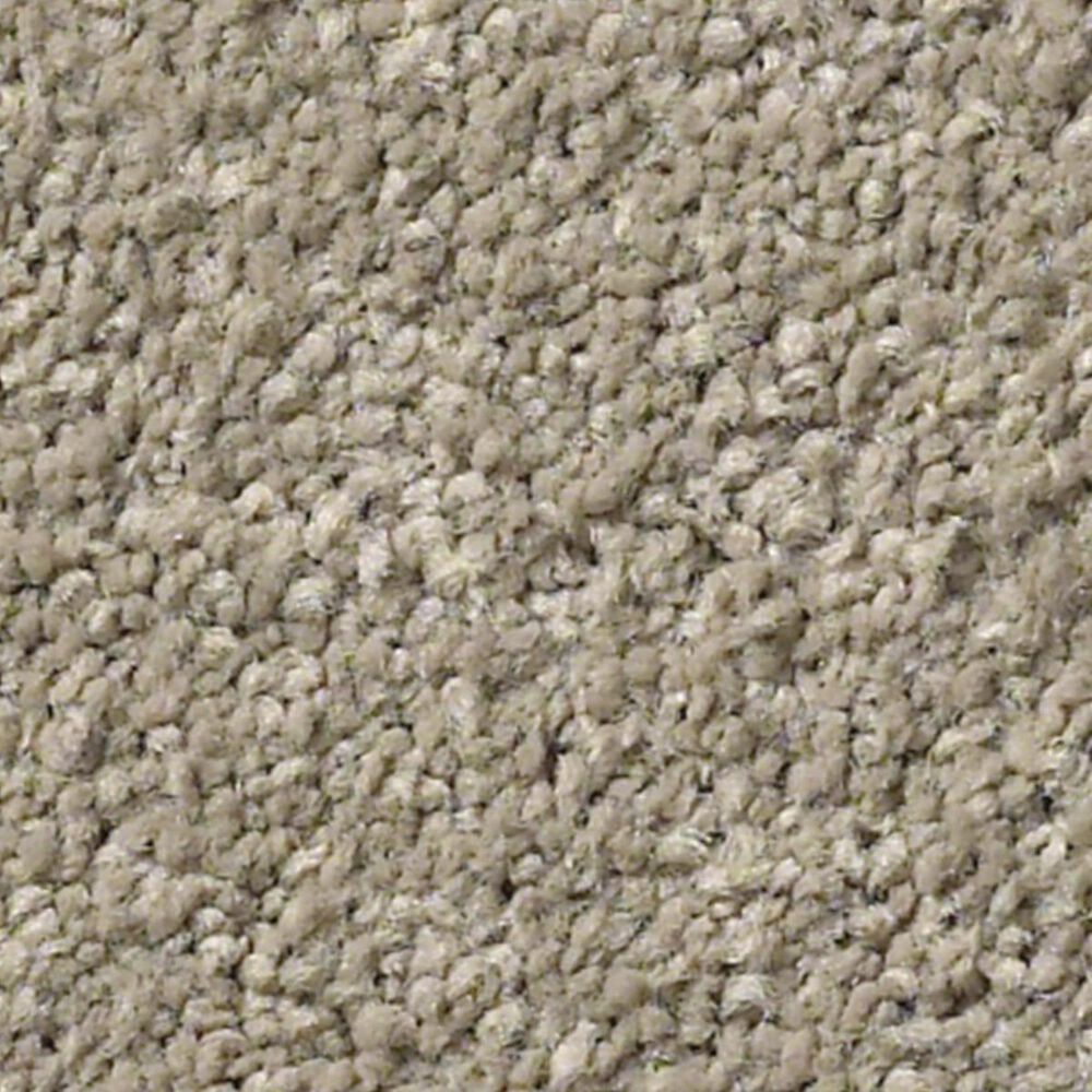 Anderson Tuftex Pawparazzi I Carpet in Driftwood, , large