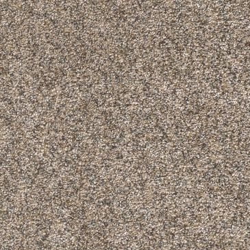 Dream Weaver Epic II Carpet in Nature Jewels, , large