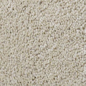 Anderson Tuftex Pawparazzi I Carpet in Toffee Cream, , large