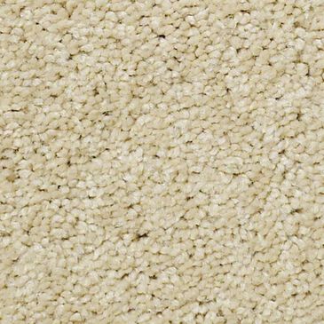 Anderson Tuftex Pawparazzi I Carpet in Cork, , large