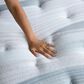 Beautyrest Biltmore Falls Plush Pillow Top Twin XL Mattress, , large