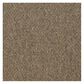 Shaw Capital III Carpet in Election, , large