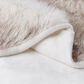 Timberlake Lavish Home Premium Faux Wolf Fur Blanket in Pearl White, , large