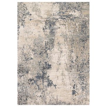 Loloi II Teagan TEA-07 9"9" x 13"6" Natural and Denim Area Rug, , large