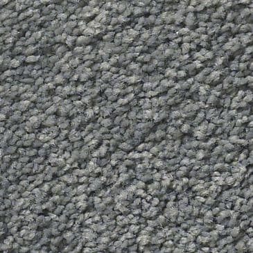 Anderson Tuftex Pawparazzi I Carpet in Steel Wool, , large