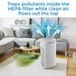 Danby Air Purifier for rooms up to 450 sq. ft, , large