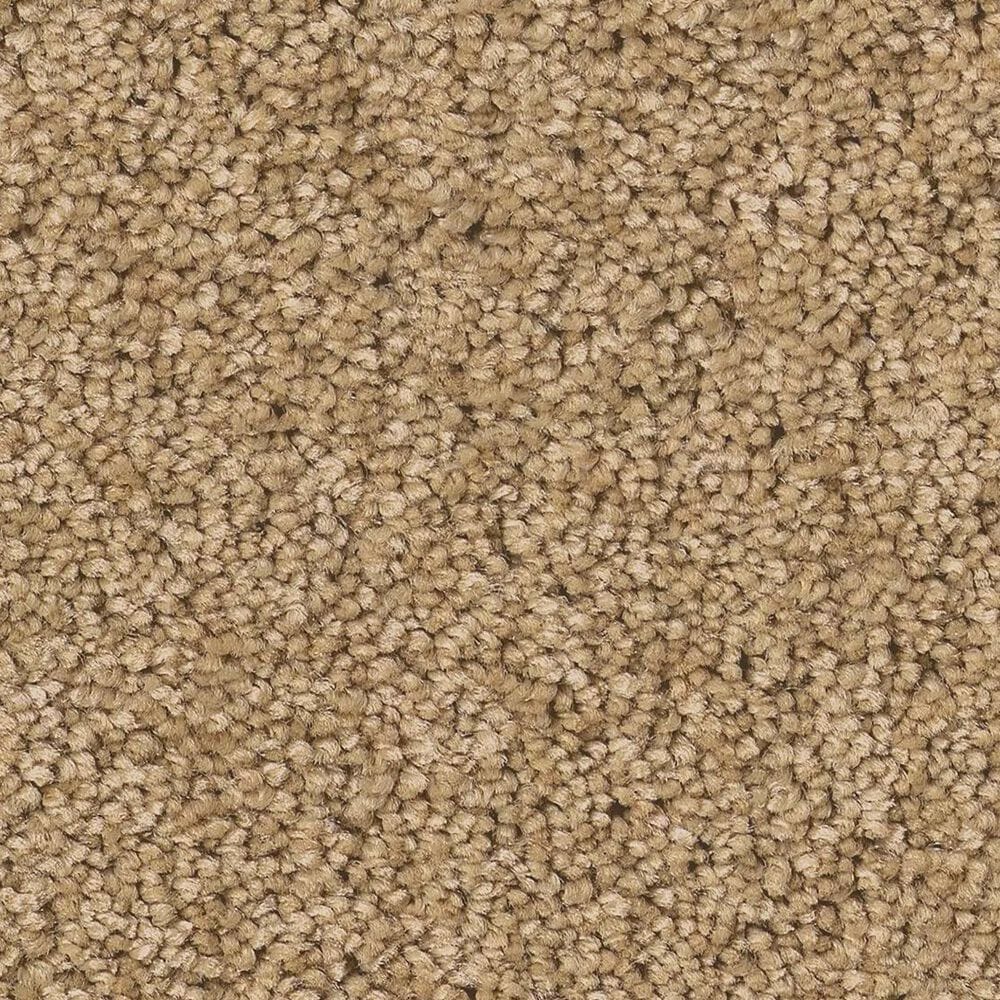 Anderson Tuftex Enchanting Carpet in Winter Wheat, , large