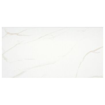 Emser Contessa Oro 12" x 24" Porcelain Tile, , large