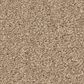 Anderson Tuftex Elegant Beauty Carpet in Warm Sand, , large