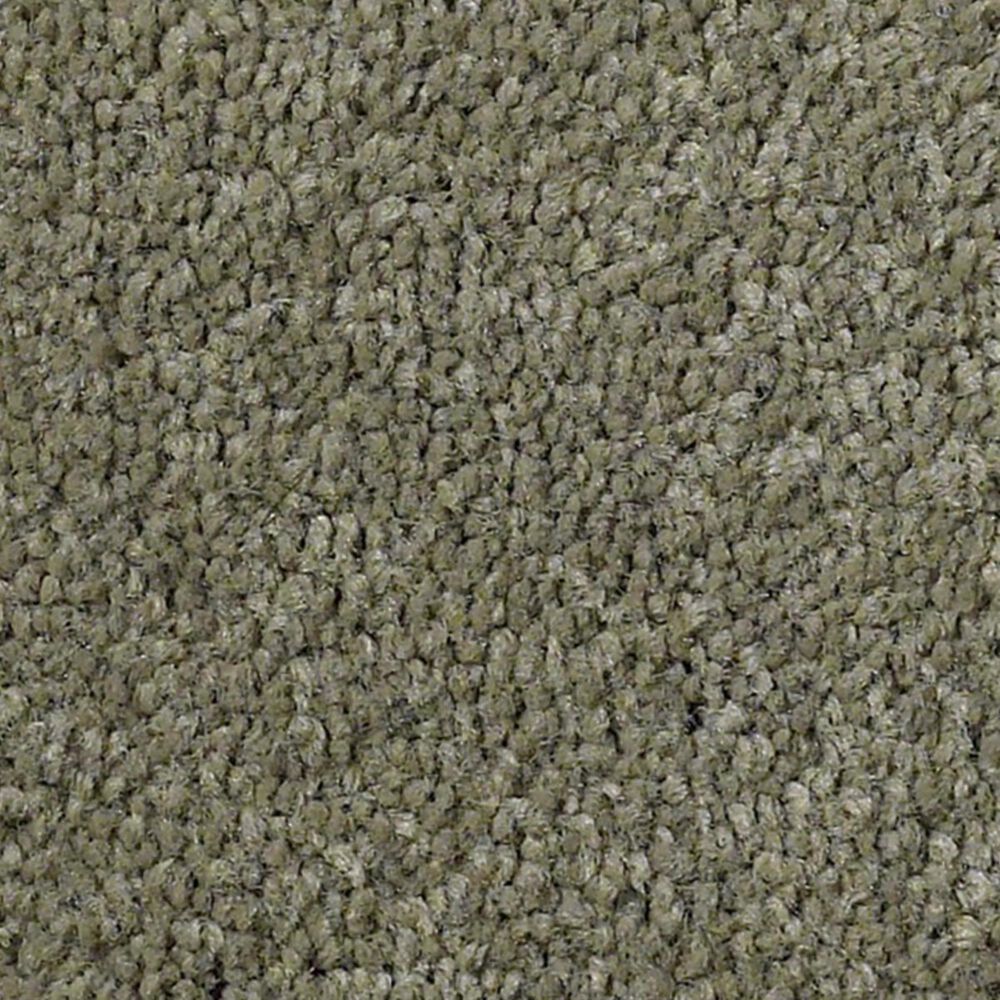 Anderson Tuftex Pawparazzi I Carpet in Dry Sage, , large