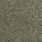 Anderson Tuftex Pawparazzi I Carpet in Dry Sage, , large