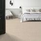 Anderson Tuftex Travertino Too Carpet in Tapioca, , large