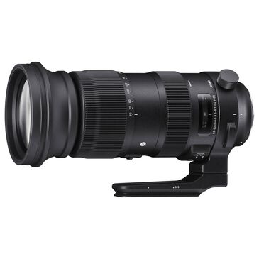 Sigma 60-600mm F4.5-6.3 DG OS HSM S., , large