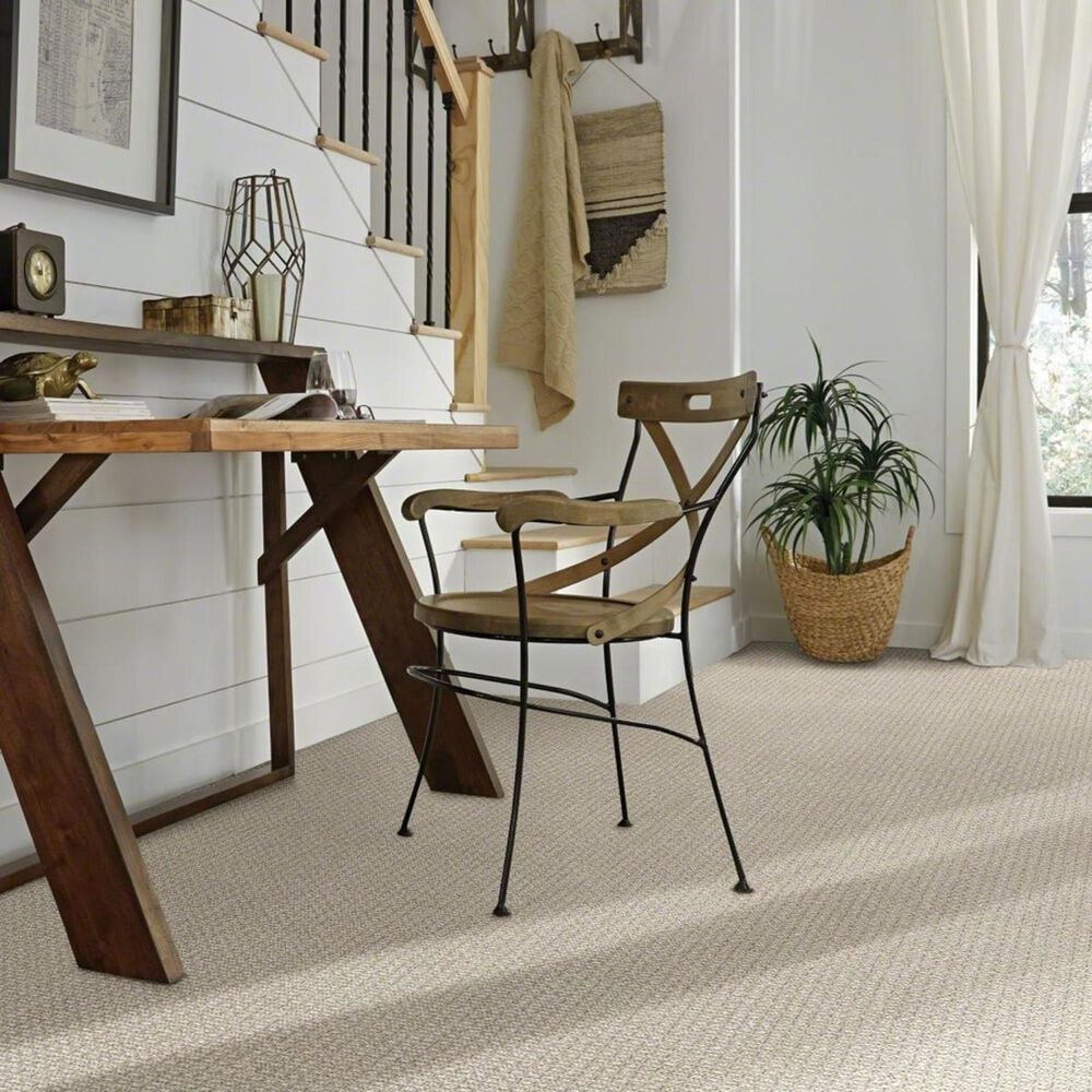 Shaw Fetch Carpet in Briarwood, , large