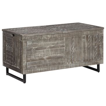 Signature Design by Ashley Coltport Storage Trunk in Distressed Gray, , large