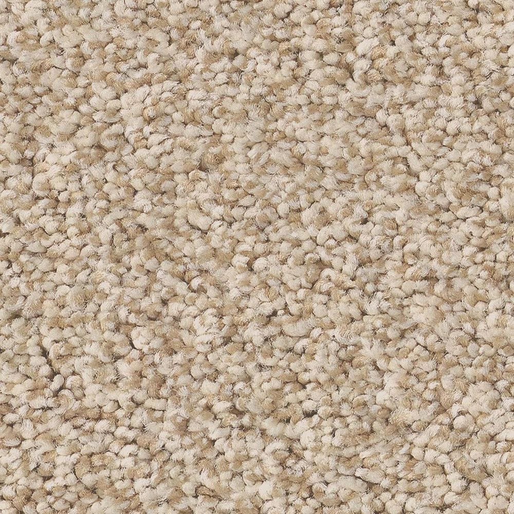 Anderson Tuftex Avalon Bay Carpet in Down Home, , large