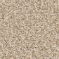 Anderson Tuftex Avalon Bay Carpet in Down Home, , large