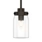 Hunter Devon Park 19008 1-Light Mini Pendant in Onyx Bengal, , large