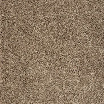 Mohawk Pleasant Touch Carpet in Woodland, , large