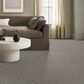 Anderson Tuftex Sneak Peek Carpet in Still Gray, , large