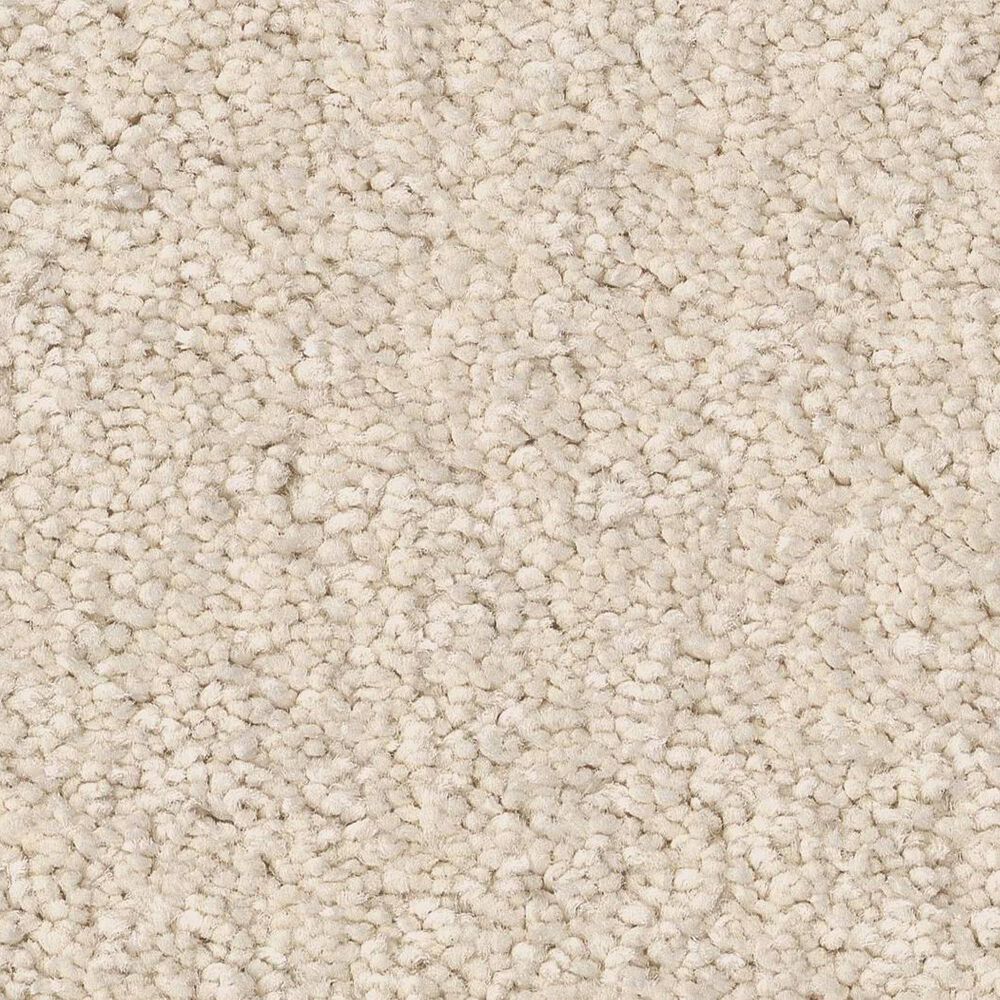 Anderson Tuftex Enduring Charm Carpet in Angora, , large