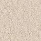 Anderson Tuftex Enduring Charm Carpet in Angora, , large